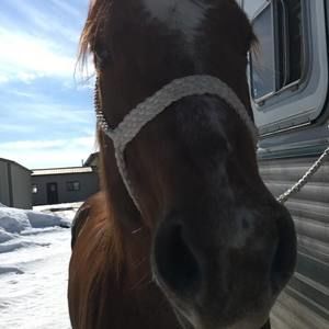 Meet your Posher, Alexis